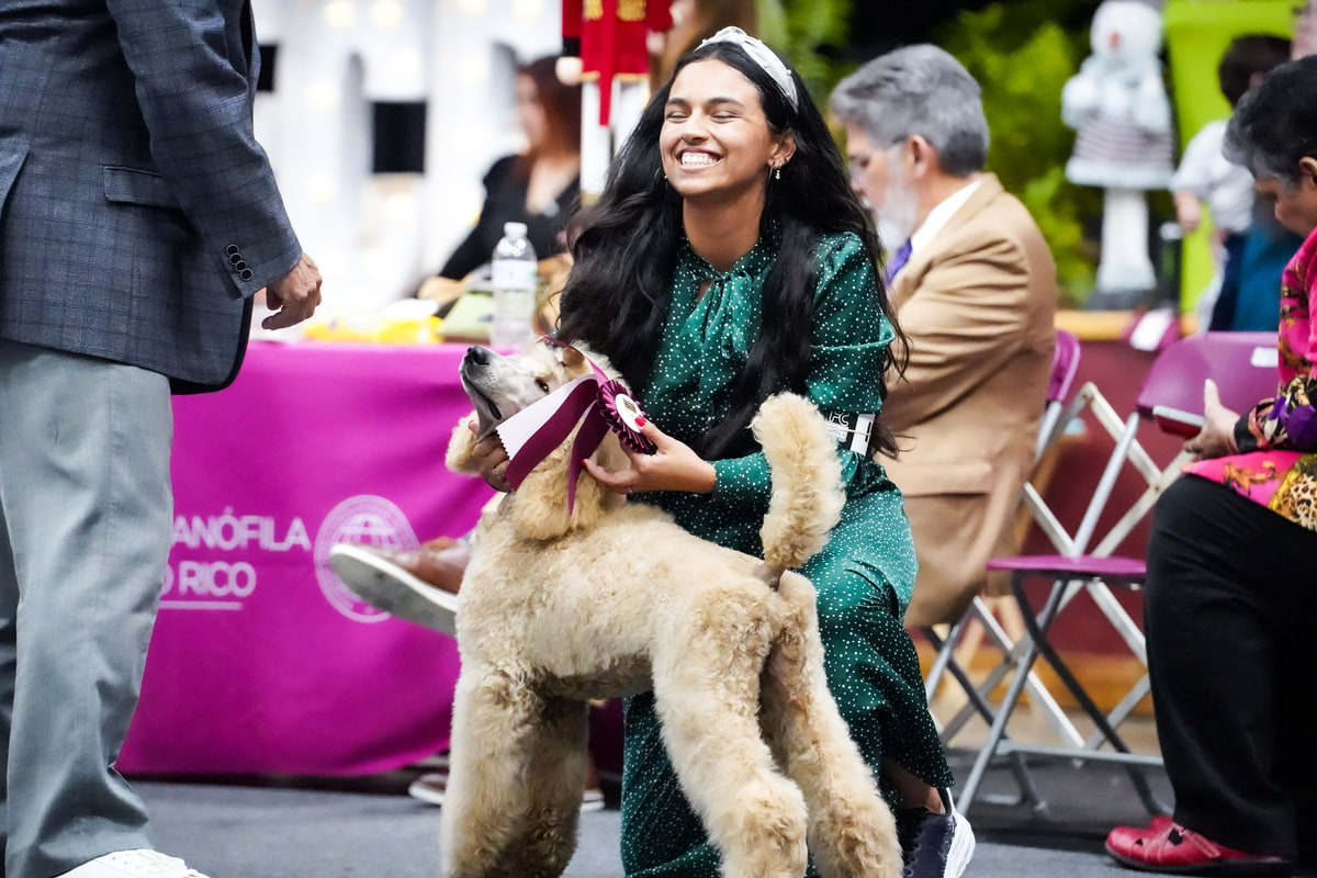 Adaia ríe con los ojos cerrados mientras sostiene la cinta de un caniche color arena en una exposición